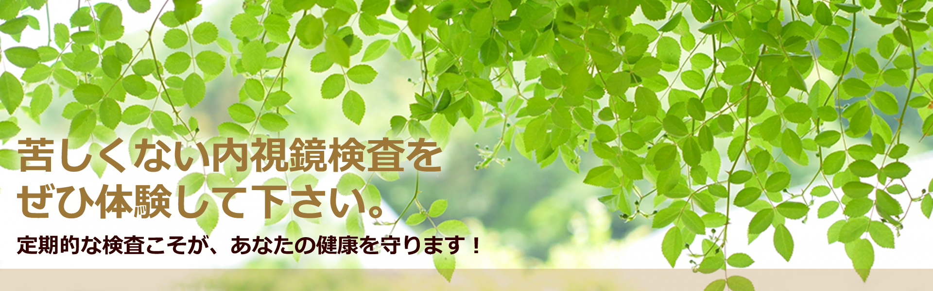 世田谷区経堂の肛門科・大腸肛門科・胃腸科・消化器科・痔の治療・内視鏡検査なら鶴町クリニック