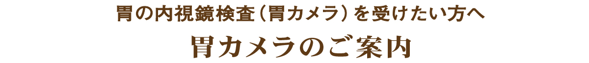 胃の内視鏡検査・胃カメラのご案内